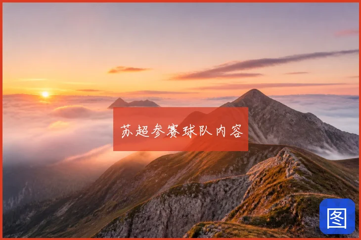 苏超参赛球队内容